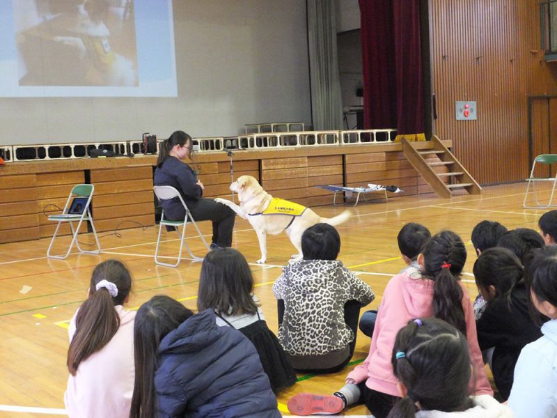 huấn luyện chó ở Nhật